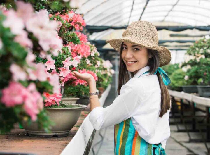 Come guadagnare dal giardino